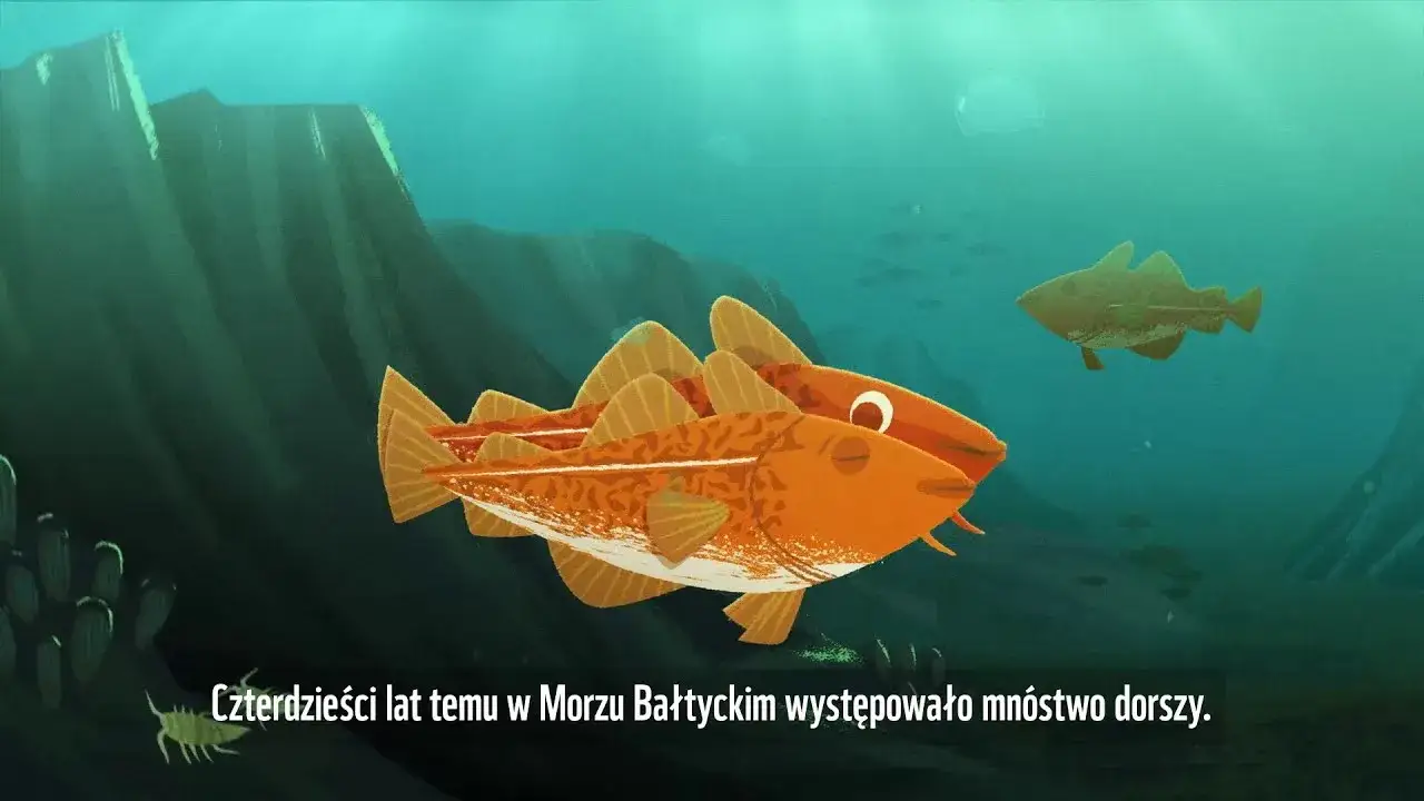 Zdjęcie Jakie ryby pływają w Bałtyku? Odkryj zaskakujące gatunki!