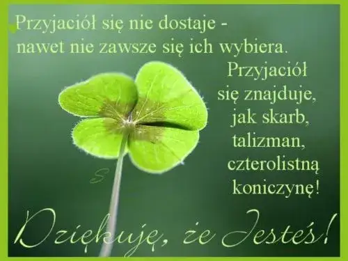 Zdjęcie Życzenia dla przyjaciółki: Jak wyrazić wdzięczność za przyjaźń?