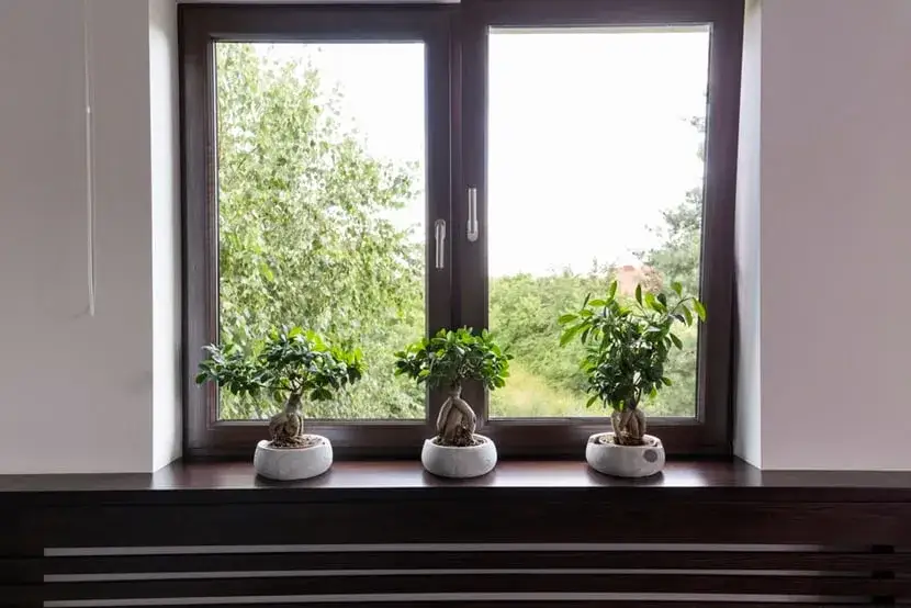 Zdjęcie Jak ozdobić parapet w sypialni: 7 inspirujących pomysłów