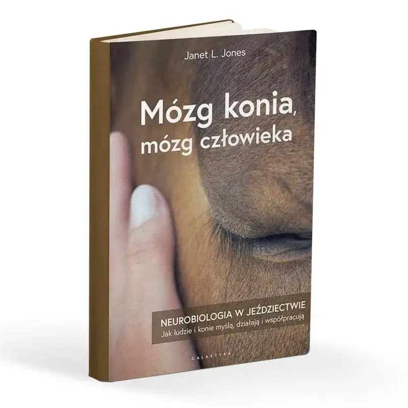 Zdjęcie Mózg konia i człowieka: jak neurobiologia zmienia jeździectwo