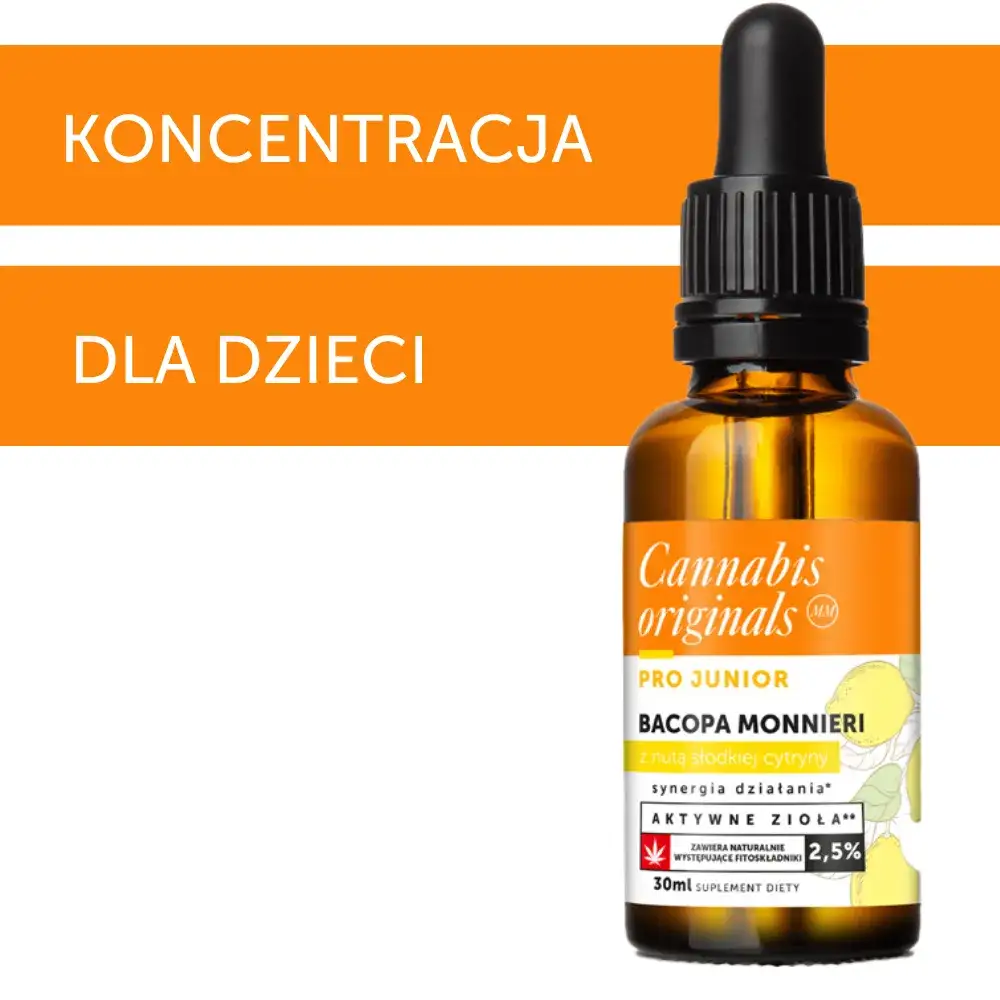 Zdjęcie Gdzie można kupić olejek CBD? Sprawdź najlepsze źródła w Polsce