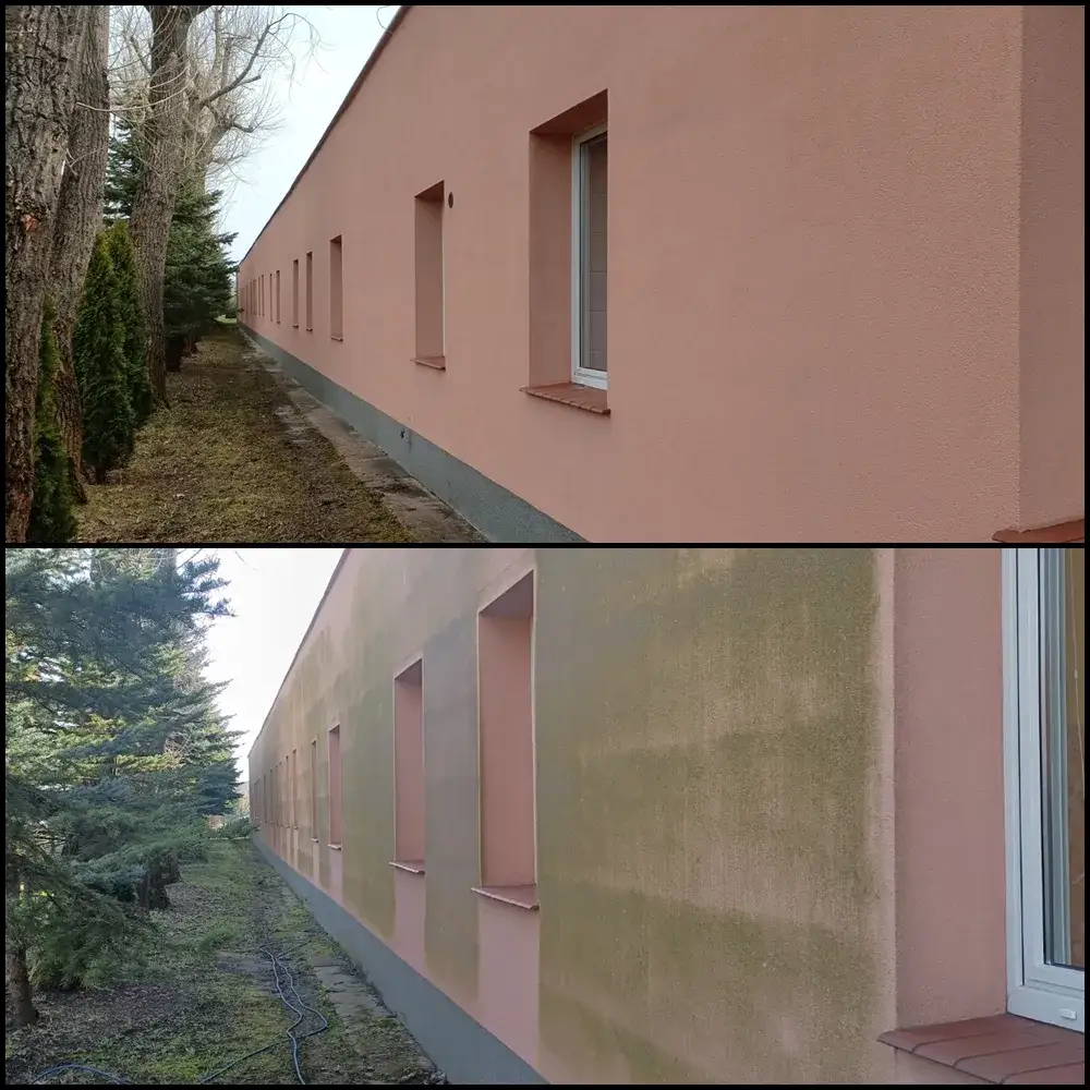 Zdjęcie Jak zlikwidować mech na elewacji i zapobiec jego nawrotom