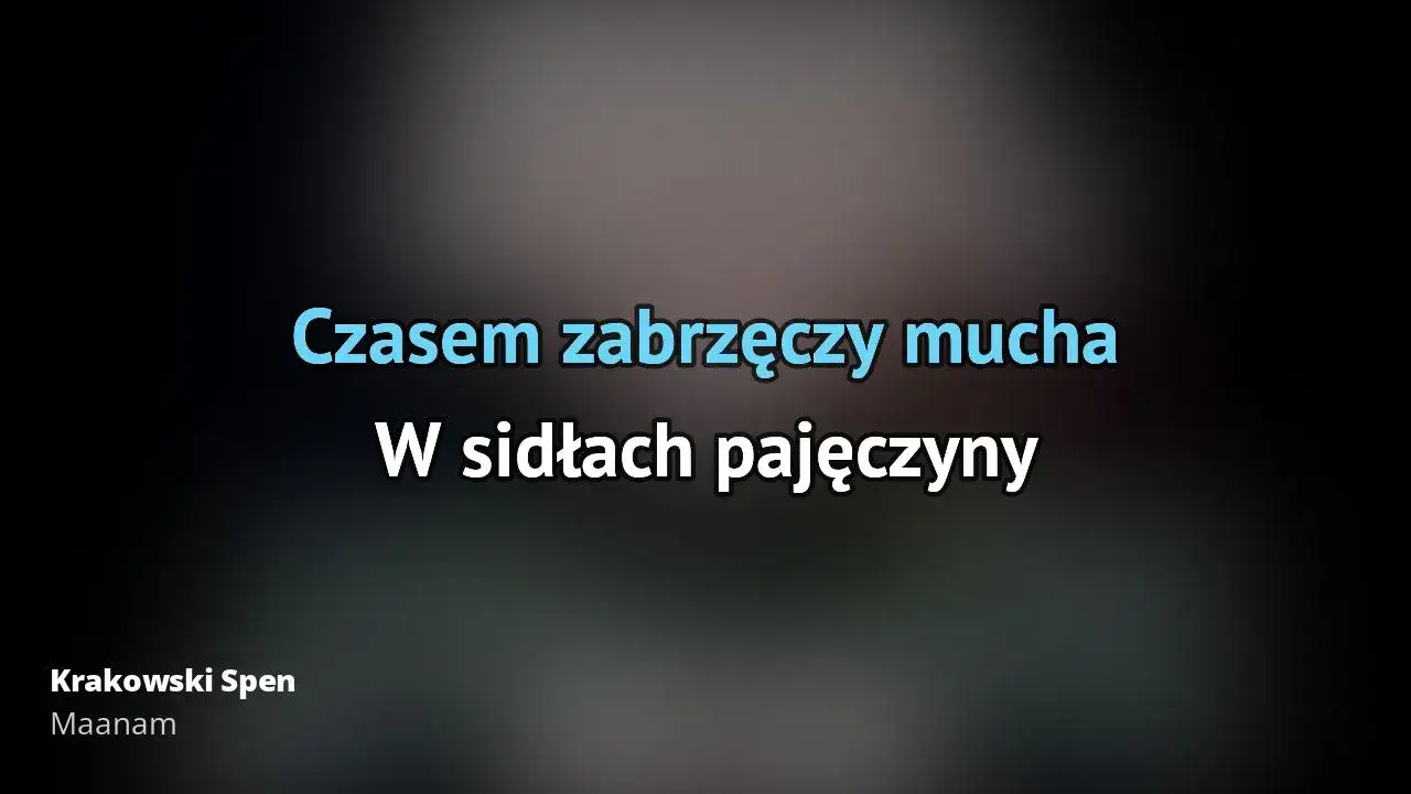 Zdjęcie Krakowski spleen - poznaj tekst piosenki czekam na wiatr co rozgoni Maanam