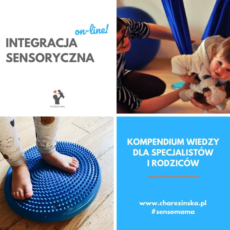 Zdjęcie Skuteczne szkolenie sensoryczne dla terapeutów i rodziców dzieci
