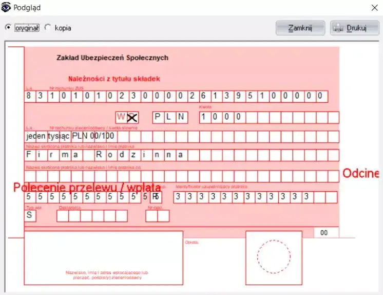 Zdjęcie Jak wypełnić druk opłaty ZUS: instrukcja krok po kroku dla przedsiębiorcy