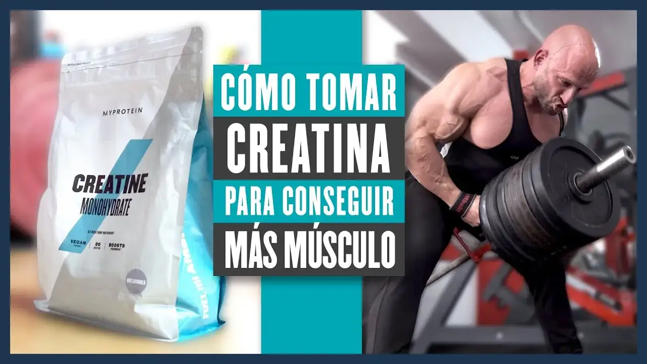 Zdjęcie Creatina: &iquest;Clave para ganar m&uacute;sculo o puedes lograrlo sin ella?