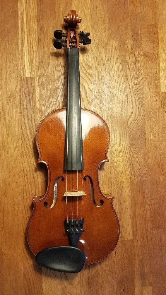 Zdjęcie Jak rozpoznać skrzypce lutnicze: 7 kluczowych cech instrumentu