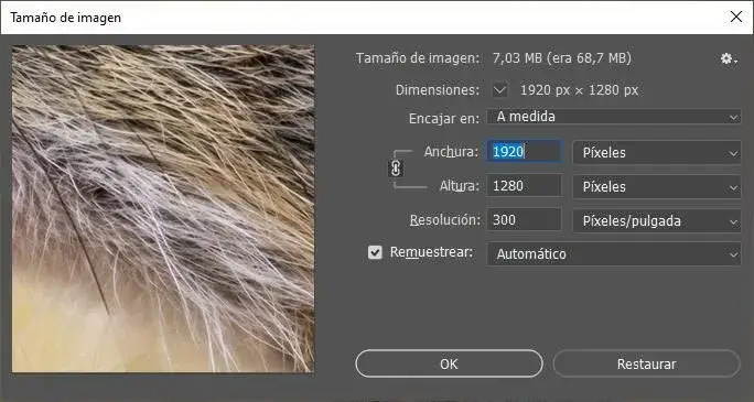Zdjęcie Jak zmniejszyć rozmiar pliku Photoshop i uniknąć utraty jakości