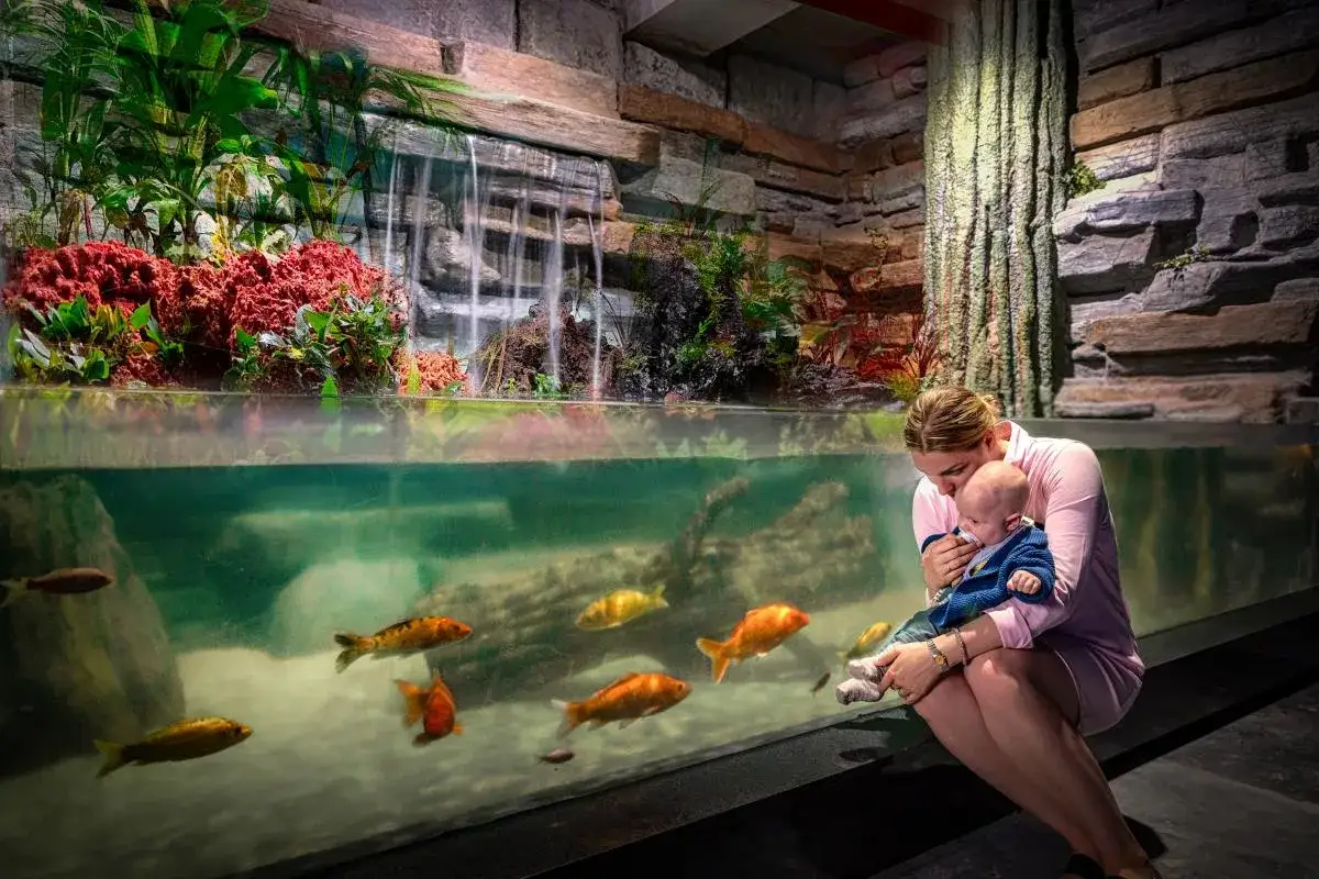 Zdjęcie Oceanarium Zachodniopomorskie - Niezapomniane atrakcje w Międzyzdrojach