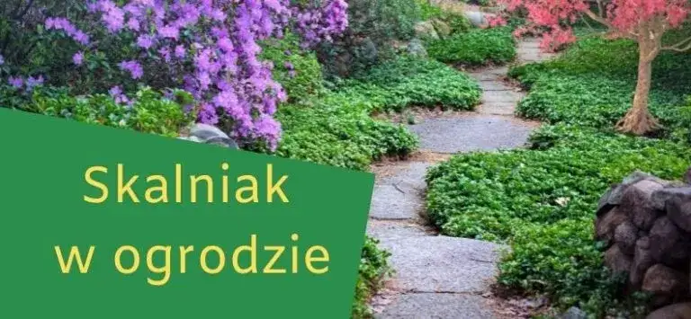 Zdjęcie Jak zrobić skalniak na skarpie – praktyczne porady, które ułatwią ci pracę
