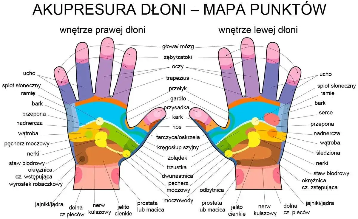 Zdjęcie Akupresura dłoni: Mapa zdrowia i ulga w dolegliwościach