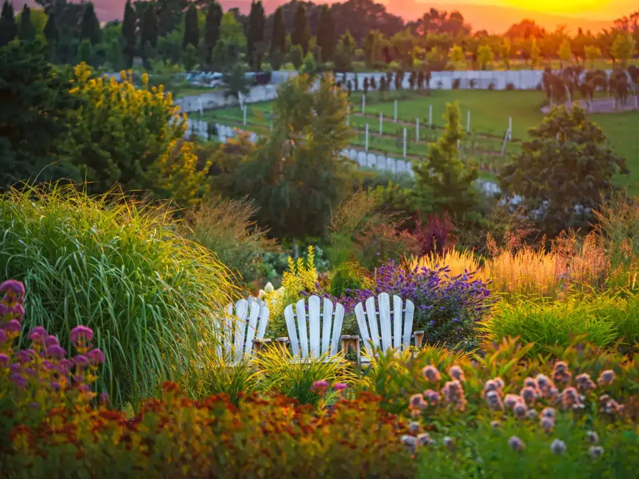 Zdjęcie Kiedy jechać do arboretum Wojsławice, aby nie przegapić kwitnienia?