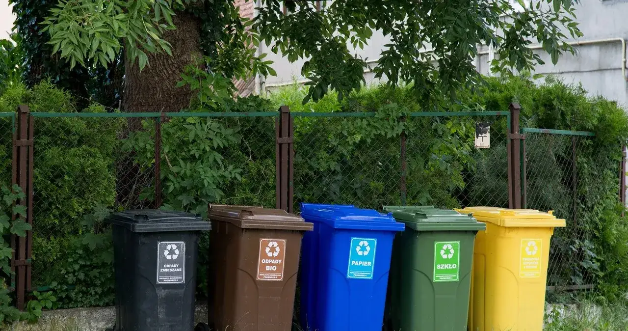 Zdjęcie Gdzie wyrzucić ziemię z doniczki, aby zadbać o ekologię i porządek?