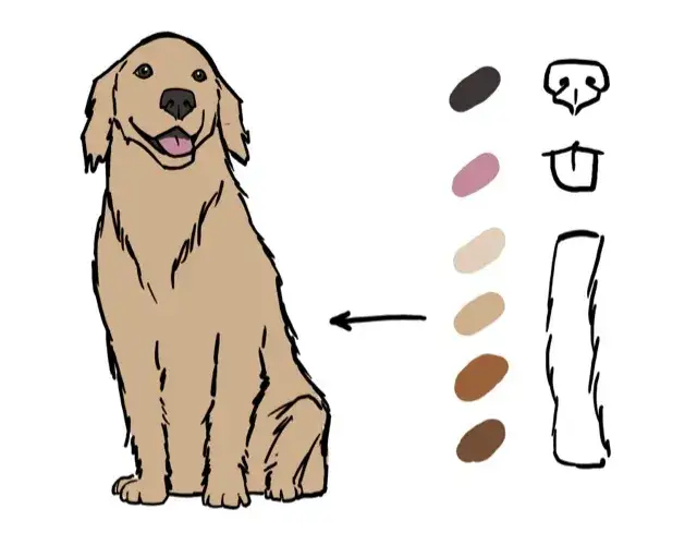Zdjęcie Jak narysować golden retrievera - łatwe kroki do realistycznego rysunku