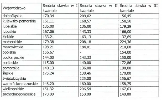 Zdjęcie Ile zarabia lekarz na stażu? Zaskakujące informacje o wynagrodzeniu