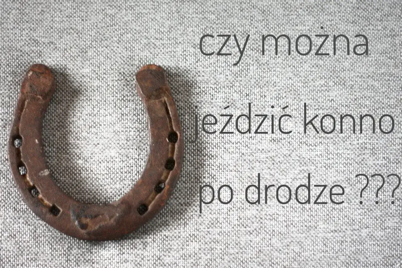 Zdjęcie Czy można jeździć konno po mieście? Przepisy i ważne informacje