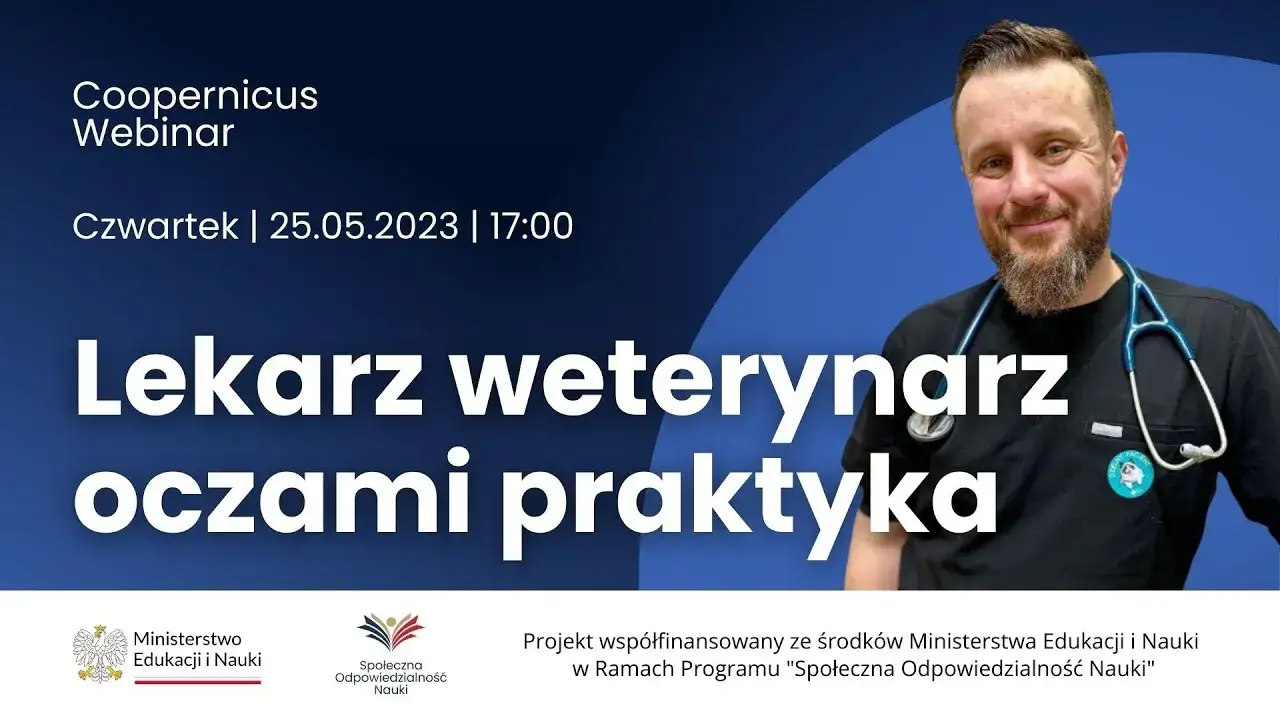 Zdjęcie Czy weterynarz to doktor? Odkryj różnice w tytułach i kwalifikacjach