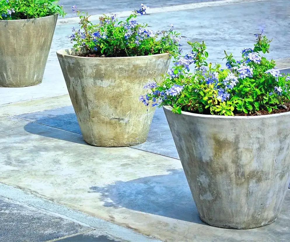 Zdjęcie Jak zrobić donice betonowe? Prosty poradnik DIY oszczędź i stwórz styl!