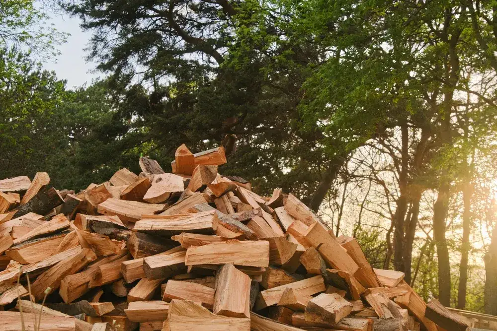 Zdjęcie Dodatek na opał drzewny Jak otrzymać dofinansowanie drewna