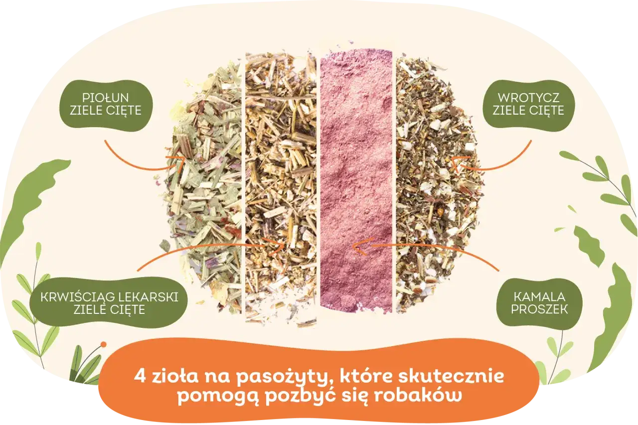 Zdjęcie Czym odrobaczać dzieci, aby skutecznie pozbyć się pasożytów?