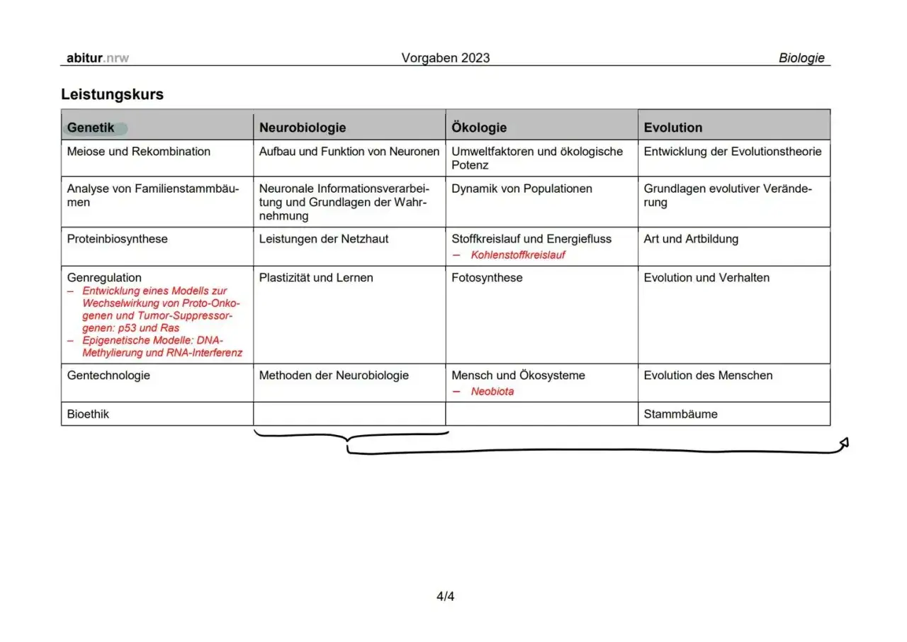 Zdjęcie Biologie Abitur: Wichtige Themen und effektive Vorbereitungstipps