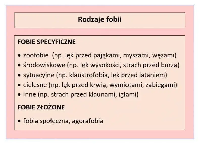 Zdjęcie Jakie są fobie? Poznaj ich rodzaje, objawy i skutki lęku