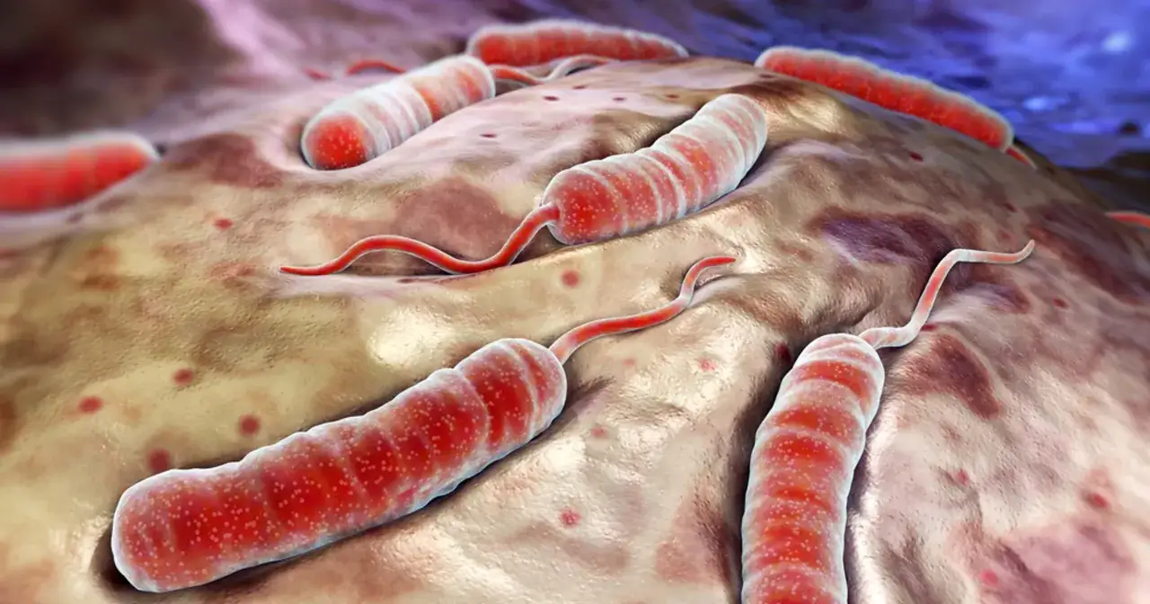 Zdjęcie Czy cholera to grzech? Teologia a przekleństwa - wyjaśnienie