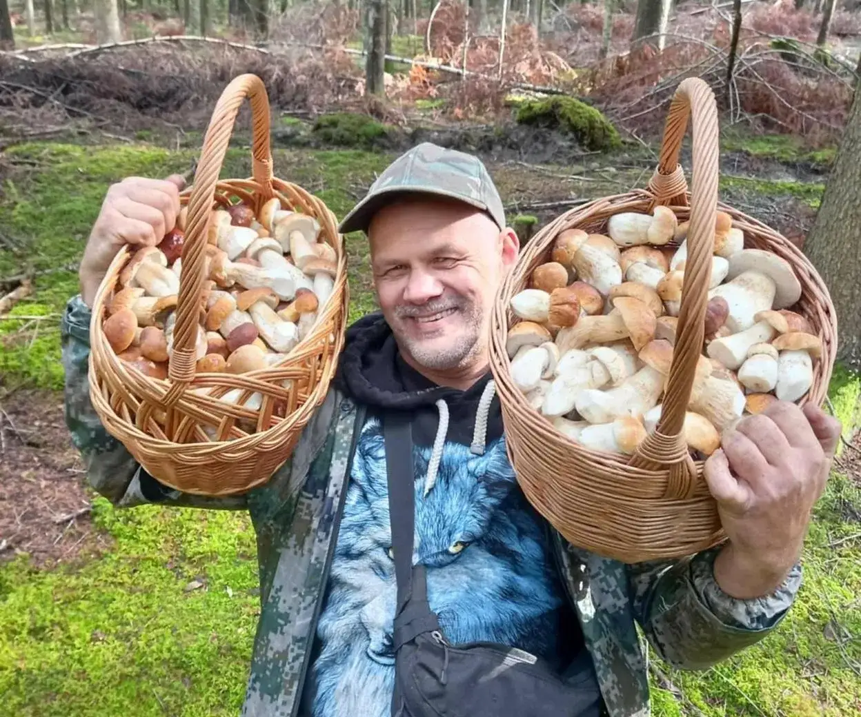 Zdjęcie Grzybobranie w Świętokrzyskiem: Gdzie szukać borowików i podgrzybków?