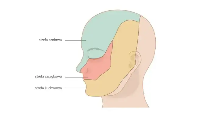 Zdjęcie Leki na nerw trójdzielny: Skuteczna terapia bólu neuropatycznego