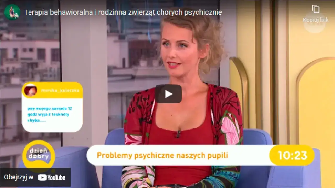 Zdjęcie Choroby psychiczne u psów: objawy, które mogą zagrażać zdrowiu psa
