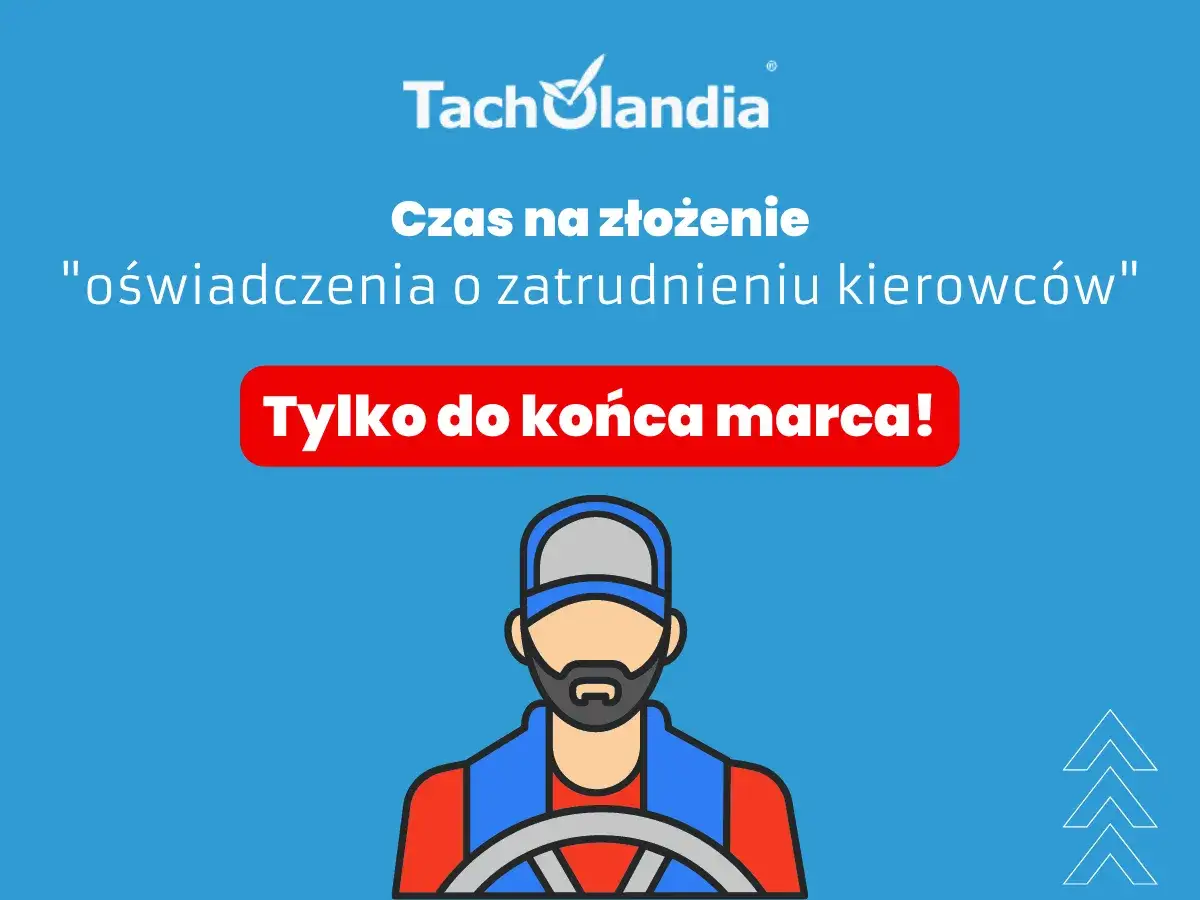 Zdjęcie Jak wypełnić oświadczenie o zatrudnieniu kierowcy bez błędów?