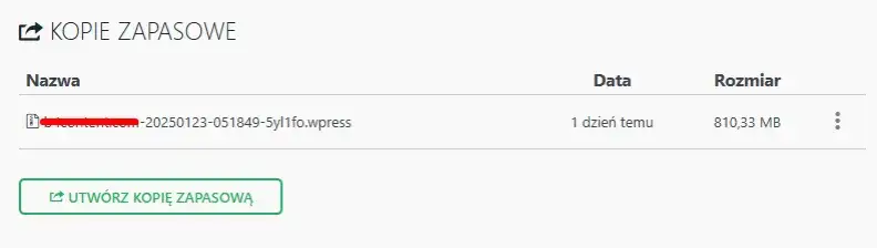 Zdjęcie Jak cofnąć zmiany w WordPress i uniknąć nieodwracalnych błędów