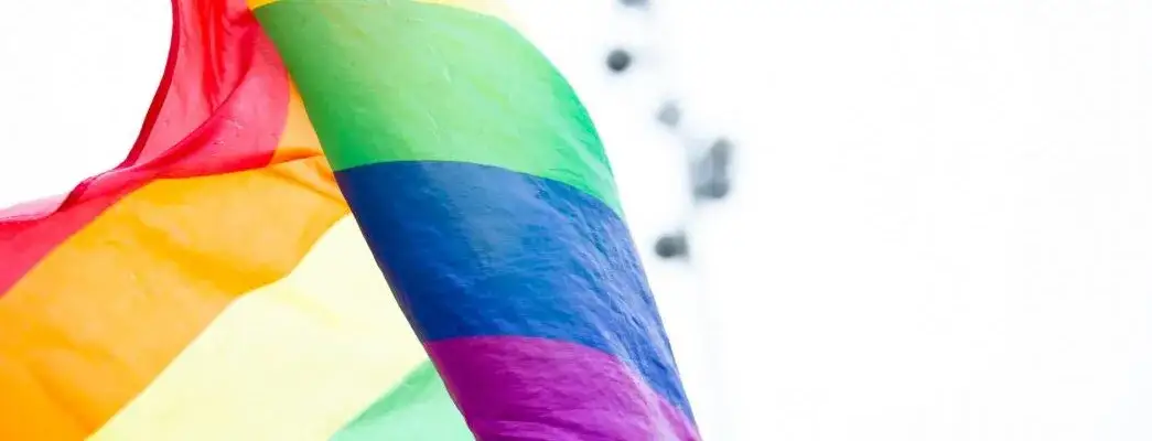 Zdjęcie Kto jest gejem w sejmie? Odkryj wpływ homoseksualnych posłów na politykę