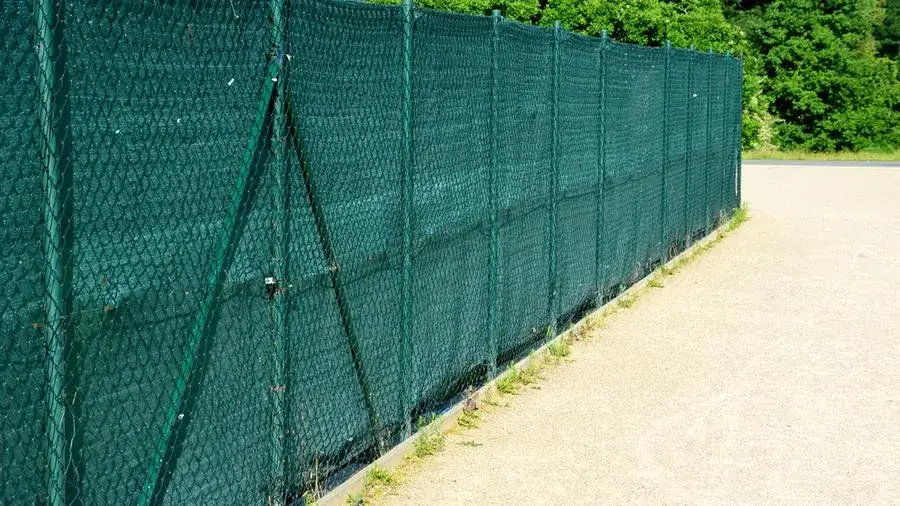 Zdjęcie Jak zasłonić ogrodzenie: 10 skutecznych sposobów na prywatność