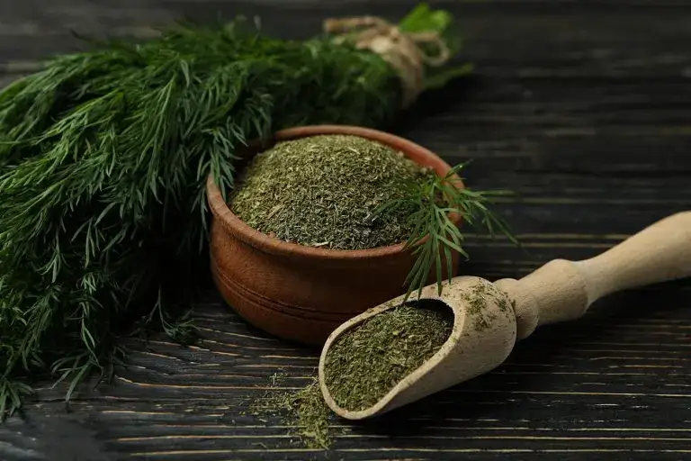 Zdjęcie Jak przechować koper do kiszenia ogórków, by zachować jego aromat?