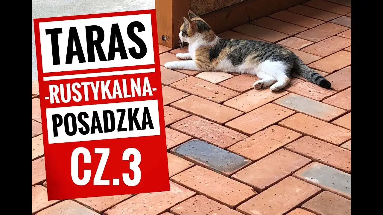 Zdjęcie Jak zrobić chodnik z cegieł - uniknij najczęstszych błędów i zyskaj piękno w ogrodzie
