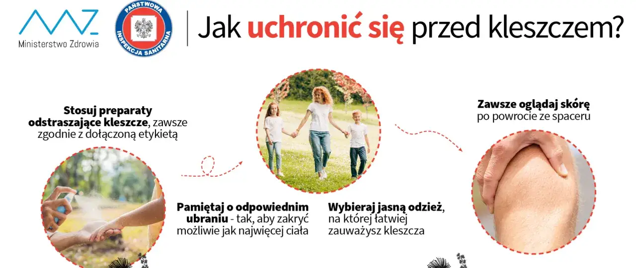 Zdjęcie Jak zapobiec boreliozie? Ochrona przed kleszczami krok po kroku