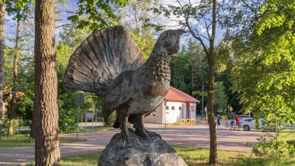 Zdjęcie Co zwiedzić na Roztoczu? Najciekawsze miejsca i atrakcje