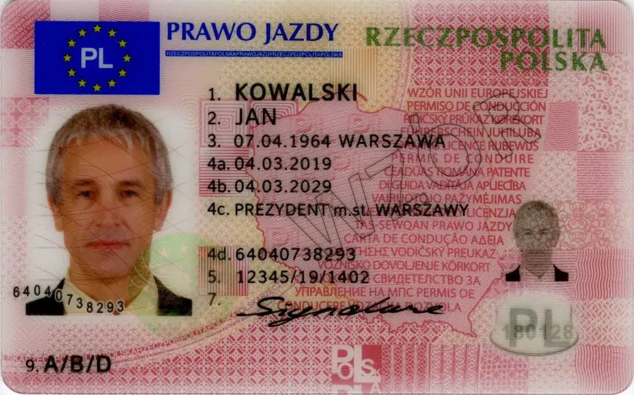 Zdjęcie Jak opłacić prawo jazdy online i uniknąć zbędnych opłat