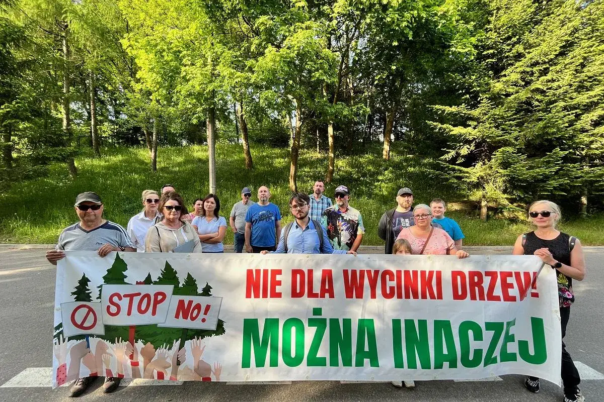 Zdjęcie Szpital planuje budowę farmy fotowoltaicznej kosztem drzew. Mieszkańcy niezadowoleni.