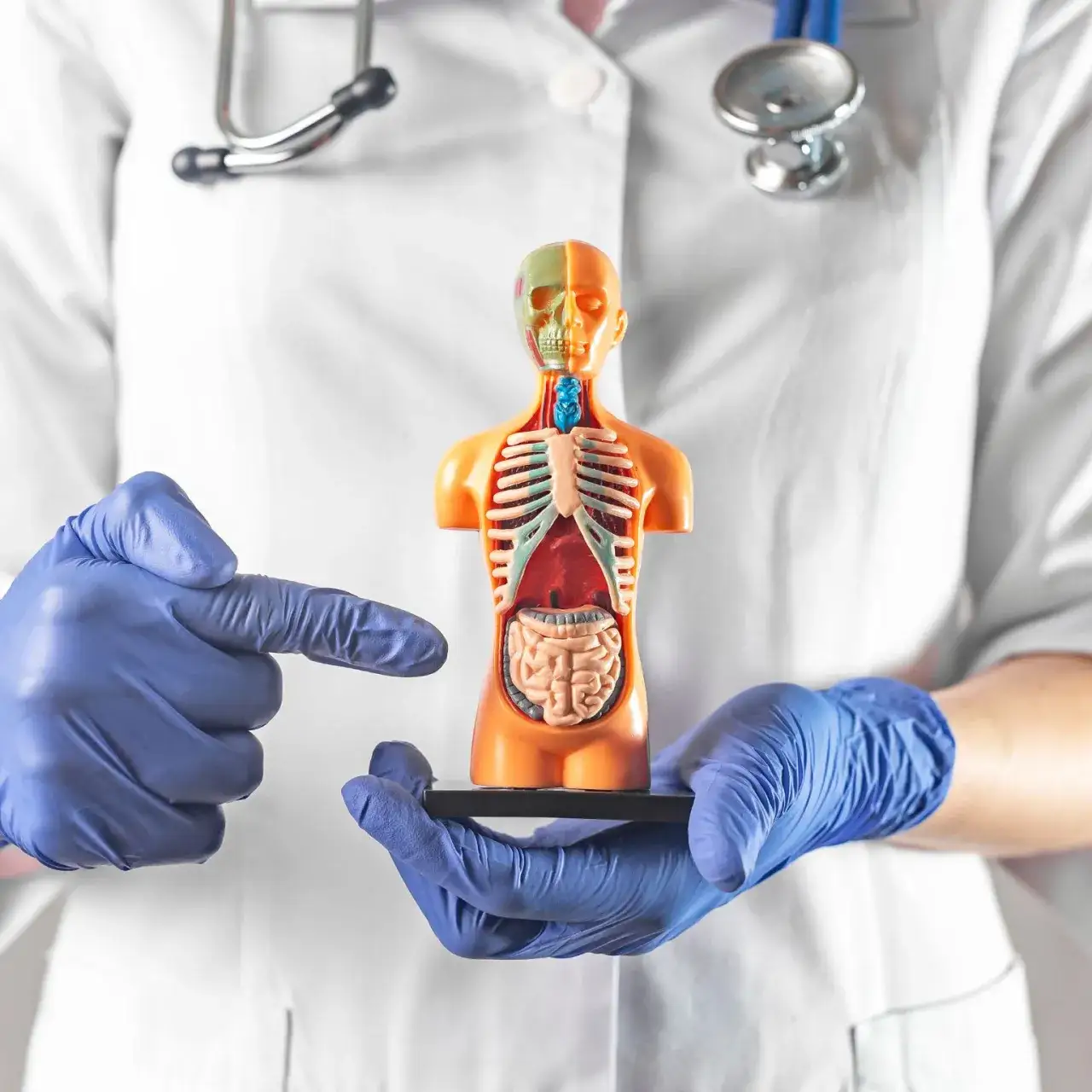 Zdjęcie Jakie badania przed kolonoskopią w znieczuleniu ogólnym są kluczowe?