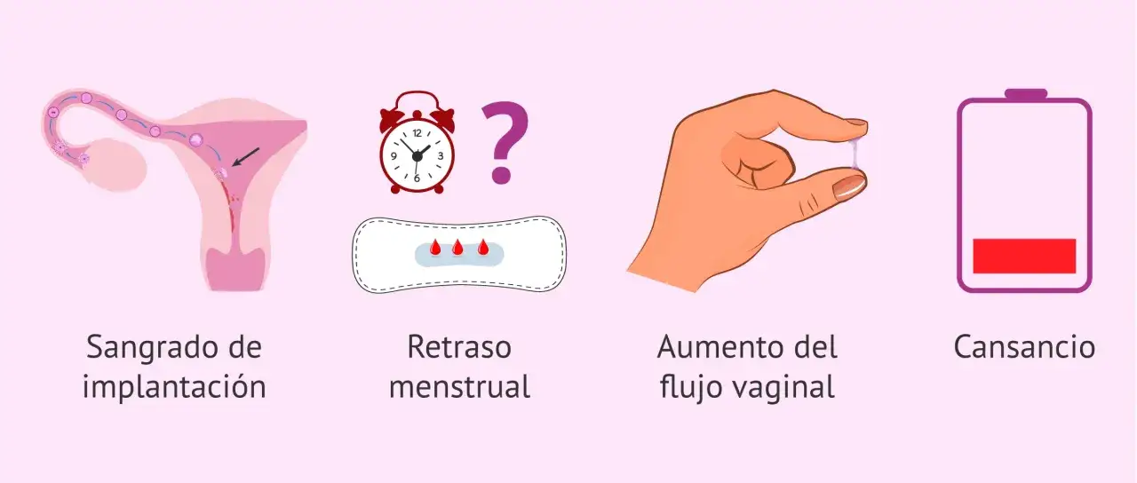 Zdjęcie Síntomas de embarazo a los 7 días: lo que realmente puedes sentir