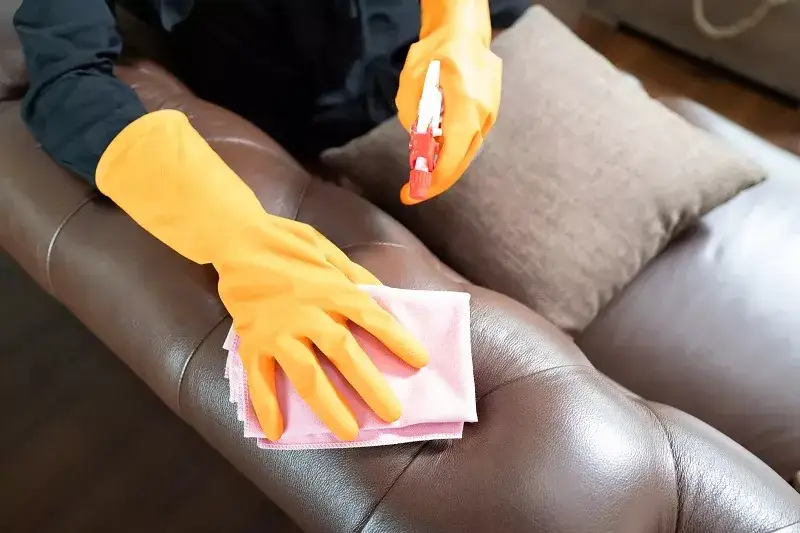 Zdjęcie Skuteczne sposoby na czyszczenie kanapy z Vanish bez smug i plam