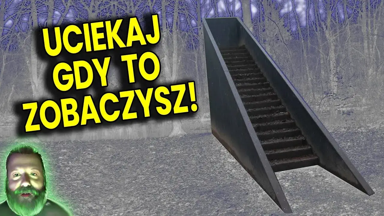 Zdjęcie Schody w lesie o co chodzi? Tajemnicze znaki w naturze, które zaskakują