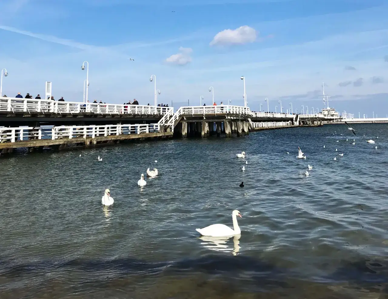 Zdjęcie Sopot gdzie zjeść: najlepsze restauracje, które musisz odwiedzić