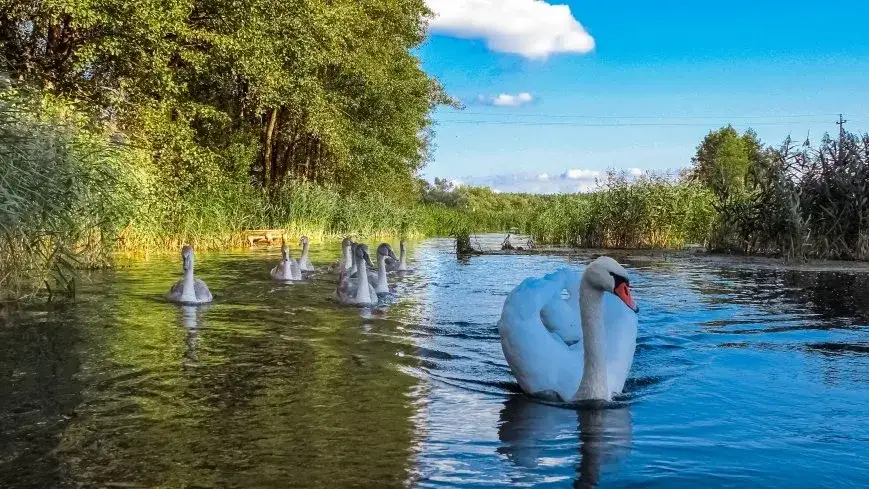 Zdjęcie Najlepsze miejsca na kajaki w Mazurach – uniknij tłumów i ciesz się naturą
