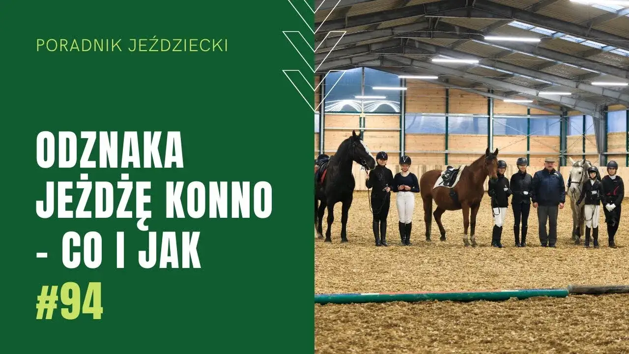Zdjęcie Jak zdać odznakę jeżdżę konno? Kluczowe wymagania i porady