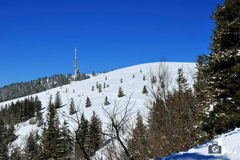 Feldberg: Deutschlands höchster Berg (1.493m) Tipps & Aktivitäten
