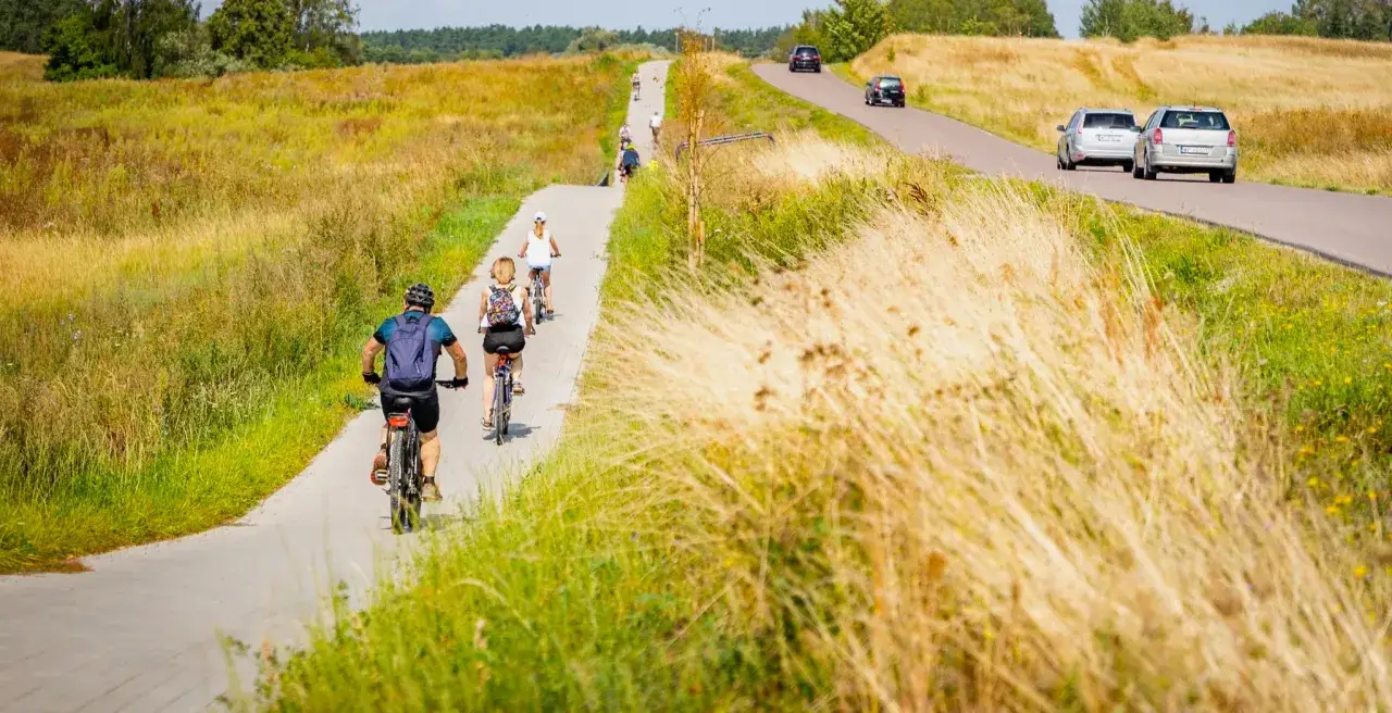 Ludzie na rowerach przemierzają malownicze mazury trasy rowerowe, otoczeni złotymi polami.