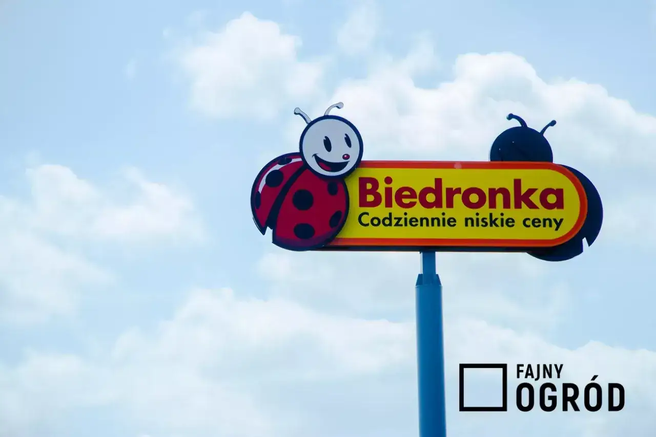 Kinder Niespodzianka w Biedronce: Cena, promocje i triki na oszczędności